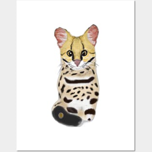 Cute Margay Drawing Posters and Art